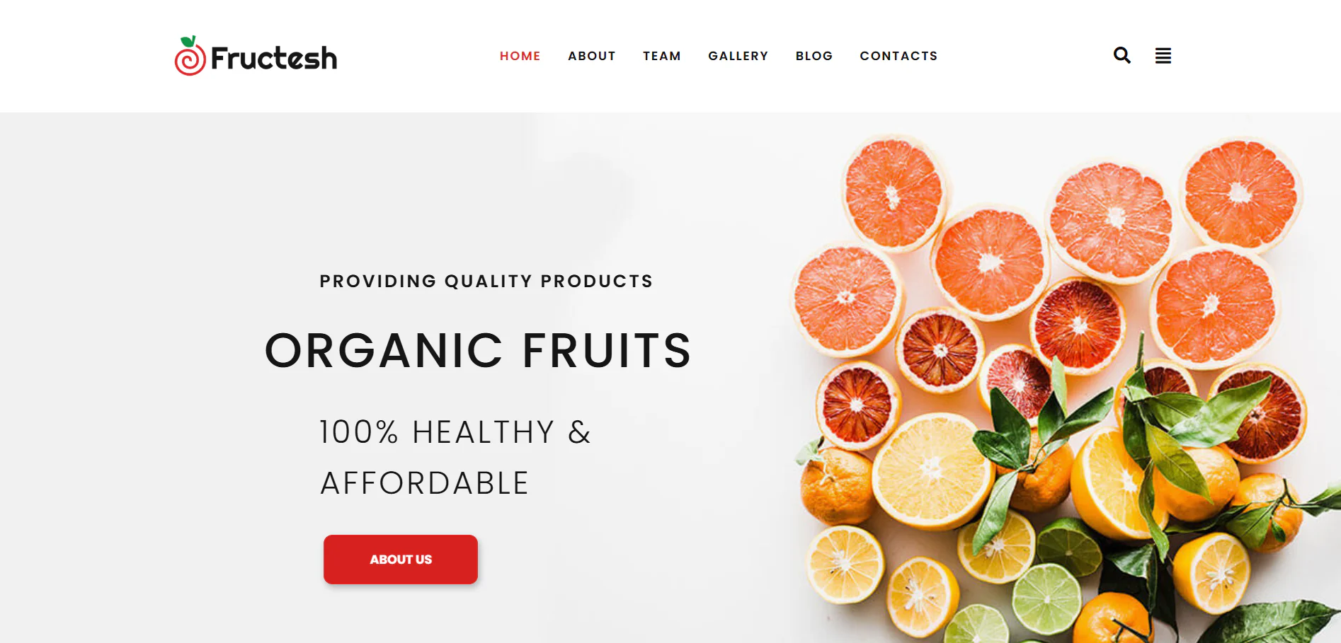Fructesh - Organic Fruits Delivery Multipurpose Modern WordPress Elementor Theme WordPress Theme